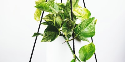 曼城与拜仁慕尼黑欧冠半决赛激烈对抗瞬间